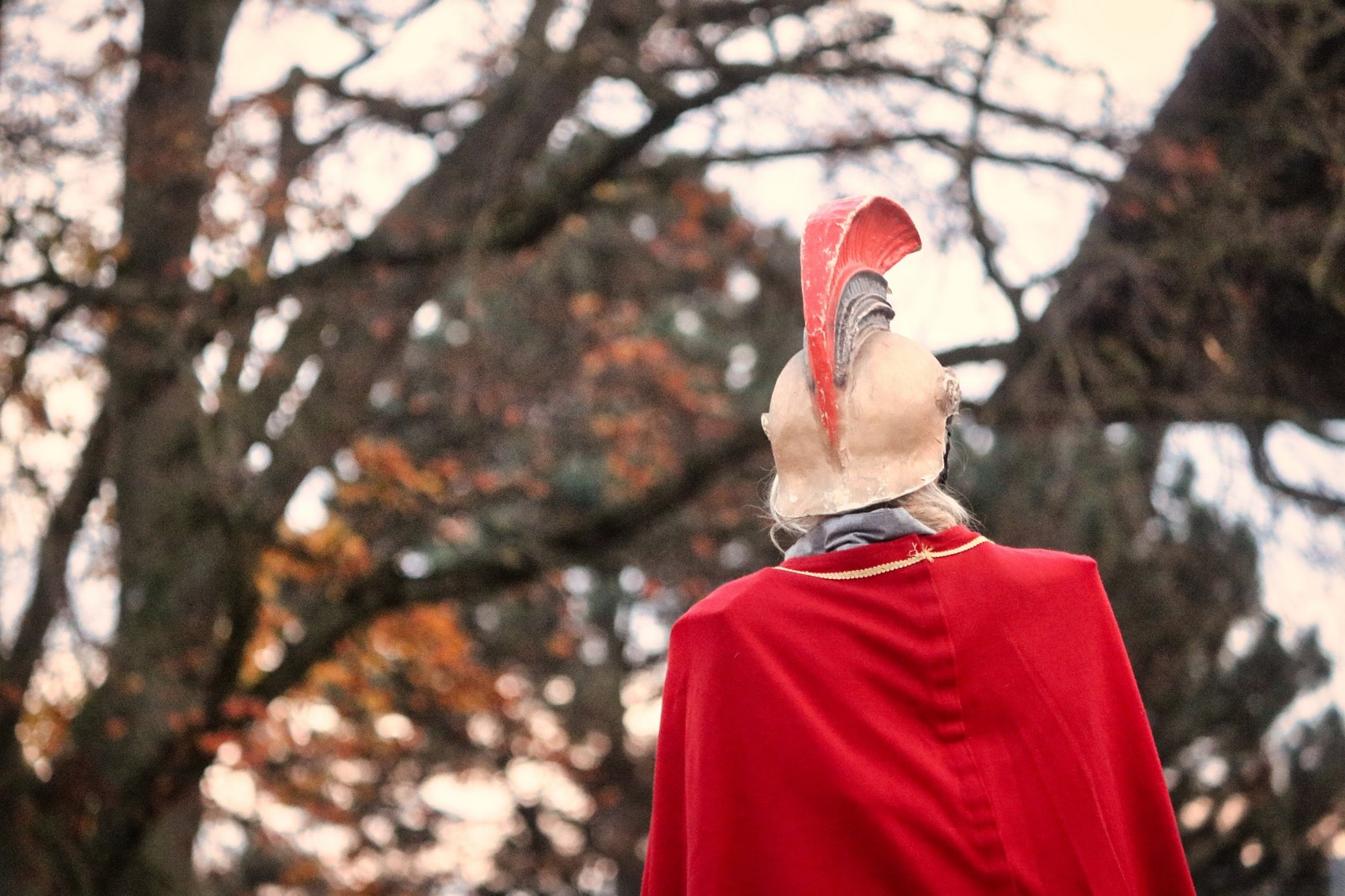 Laternen leuchten zum St. Martinstag Laternen leuchten zum St. Martinstag