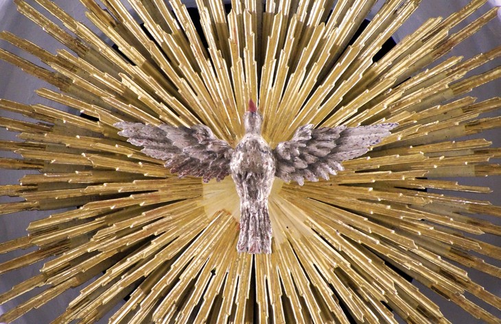 Die Taube: Ein Symbol des heiligen Geistes. © Martin Manigatterer. In: Pfarrbriefservice.de