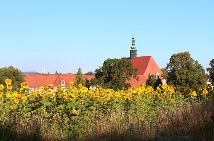Zum Klosterfest und Kräutersonntag wird in die Abtei St. Marienstern eingeladen. © Sr. Cora